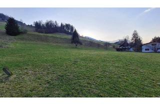 Grundstück zu kaufen in 4463 Großraming, Großzügiges Bauland ruhig gelegen!