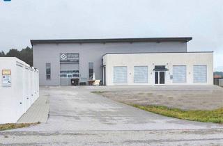 Büro zu mieten in 5166 Perwang am Grabensee, Flexible Büro- und Verkaufsflächen in attraktiver Lage - Perwang/Palting