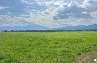 Grundstück zu kaufen in 8753 Fohnsdorf, 1,04 ha landw. Fläche