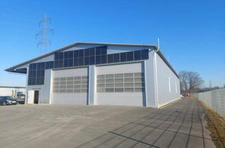 Lager mieten in Industriezentrum Straß, 8472 Straß in Steiermark, Lagerhalle