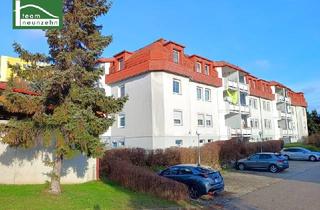 Genossenschaftswohnung in Mittelgasse, 3100 Sankt Pölten, Genossenschaftswohnung in ruhiger Lage! Unbefristet. - WOHNTRAUM