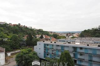 Wohnung kaufen in 3500 Krems an der Donau, "Logenplatz auf Krems"