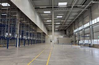 Büro zu mieten in 8141 Unterpremstätten, Class A Logistikimmobilie in Premstätten