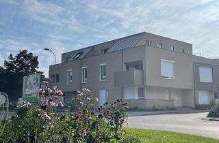 Penthouse kaufen in 7141 Podersdorf am See, Penthouse zum entschleunigen: Die Natur und der See vor der Tür.