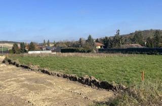 Grundstück zu kaufen in 2124 Niederkreuzstetten, Baugrundstücke in Niederkreuzstetten in traumhafter Lage im Herzen des Weinviertels