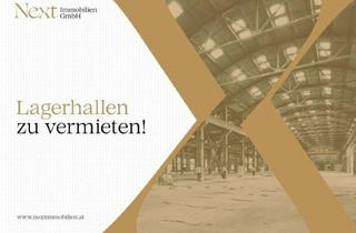 Lager mieten in Bahnhof Wels, Flughafen Wels, 4600 Wels, Betriebsliegenschaft mit Lagerhallen inkl. Rolltore, Verkaufs-/Büroflächen & ausreichend Freifläche zu vermieten!