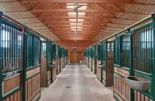 Lager kaufen in 4971 Aurolzmünster, Neuwertiges Pferdegestüt, eigene Zufahrt und Trainingsbahn!