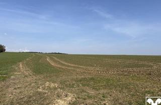 Grundstück zu kaufen in 4733 Heiligenberg, landwirtschaftlicher Nutzgrund in Andling