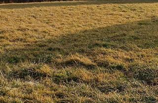 Grundstück zu kaufen in 4612 Leppersdorf, TRAUMHAFTES GRUNDSTÜCK FÜR IHRE VILLA!!!