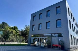 Gewerbeimmobilie mieten in 6837 Weiler, Attraktive Büro- und Ordinationsfläche