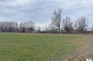 Grundstück zu kaufen in 6972 Fußach, Fußach: Grundstück in ruhiger Lage