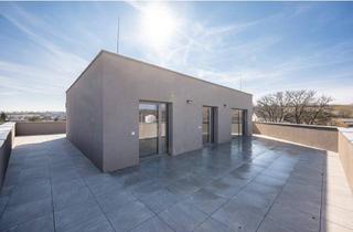 Wohnung kaufen in 2122 Münichsthal, Modernes Wohnen trifft Naturidylle – Exklusives Neubauprojekt in Münichsthal!