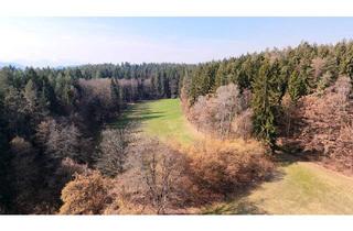Gewerbeimmobilie kaufen in 9062 Moosburg, 10.5 ha Wiese und Wald in Moosburg