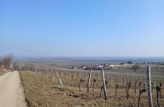 Haus mieten in Kellergasse, 2061 Obritz, Presshaus zur Freizeitnutzung