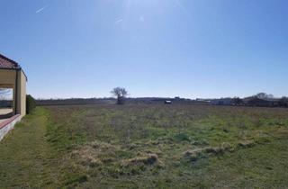 Grundstück zu kaufen in 7122 Gols, TOP BAUGRUNDSTÜCK IN RUHIGER ANWOHNERSTRASSE