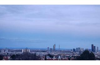 Wohnung kaufen in Nedergasse, 1190 Wien, Repräsentative Villenetage mit großzügigem Rohdachboden