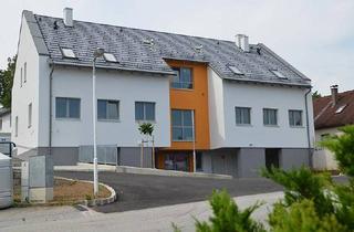 Wohnung mieten in Gmünder Straße 3/6, 3945 Hoheneich, barrierefreie Wohnung in Hoheneich