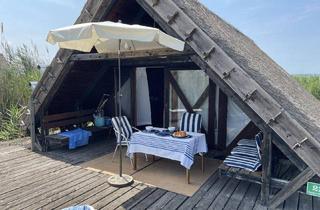 Haus kaufen in 7071 Rust, FÜR "GERN-WEITBLICKER" FAST WIE AM MEER - RUHE, ENTSPANNUNG UND FREIHEIT - HÜTTE IM SEE MIT BOOTSGARAGE