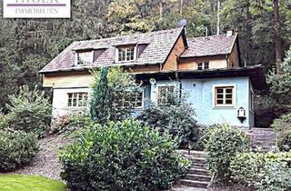 Haus kaufen in 3500 Krems an der Donau, Attraktives Landhaus inmitten der Stadt!