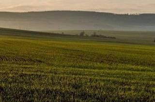 Grundstück zu kaufen in 6063 Rum, Gewerbegrundstück an der Stadtgrenze von Innsbruck zu verkaufen