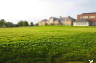 Grundstück zu kaufen in 8114 Kleinstübing, *GRAZ-NORD* Rund 2000m² großes Grundstück im Dorfgebiet mit Altbestand