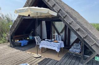 Haus kaufen in 7071 Rust, FÜR "GERN-WEITBLICKER" FAST WIE AM MEER - RUHE, ENTSPANNUNG UND FREIHEIT - HÜTTE IM SEE MIT BOOTSGARAGE