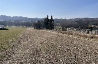 Grundstück zu kaufen in Klingenbacherstraße, 7021 Draßburg, 2.273 m² SÜD-GRUNDSTÜCK NÄHE MATTERSBURG/SIEGENDORF - GRÜNRUHELAGE!