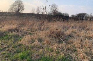 Gewerbeimmobilie kaufen in 2002 Roseldorf, INDUSTRIEGRUNDSTÜCK - 40 Minuten vor Wien