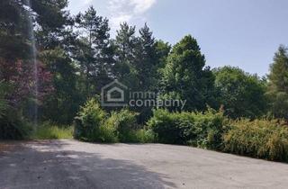 Grundstück zu kaufen in 2812 Hollenthon, Großes Grundstück mit Waldbestand