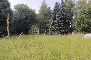 Grundstück zu kaufen in 2812 Hollenthon, Großes Grundstück mit Waldbestand