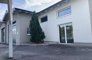 Gewerbeimmobilie kaufen in Am Römerfeld 6, 5322 Hof bei Salzburg, Büro-Halle-Wohnung Betriebsliegenschaft provisionsfrei
