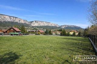Grundstück zu kaufen in 2724 Stollhof, HOHE WAND | voll aufgeschlossenes Baugrundstück | eben, eingezäunt wartet auf Ihr Haus | ZELLMANN IMMOBILIEN