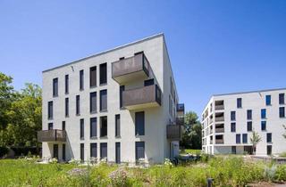 Wohnung mieten in Am Eisweiher, 6850 Dornbirn, Voll ausgestattete Mikroapartments – Modern, ruhig und ideal gelegen