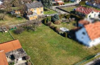 Grundstück zu kaufen in 8430 Neutillmitsch, Sonniges überschaubares Baugrundstück für ihr Eigenheim in Neutillmitsch