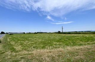 Grundstück zu kaufen in Gramatneusiedler-Straße, 2441 Mitterndorf an der Fischa, IHRE CHANCE: Betriebsgrundstück I TOP-Lage I Ideal geschnitten I Ortseinfahrt Mitterndorf/Fischa