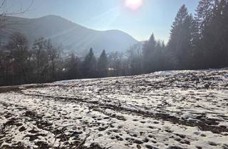 Grundstück zu kaufen in Sagbergstraße, 3011 Purkersdorf, BAUGRUND MIT PERSPEKTIVE in sonniger Südhanglage - exklusives Grundstücksensemble