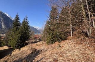 Grundstück zu kaufen in 6212 Maurach, Rarität! Traumhaftes Sonniges Grundstück mit See - und Bergblick in Maurach am Achensee zu Verkaufen