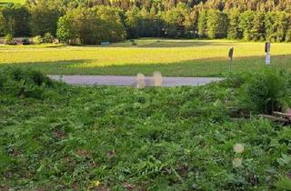 Grundstück zu kaufen in 9562 Himmelberg, SCHNÄPPCHEN - IDEAL FÜR JUNGE FAMILIEN