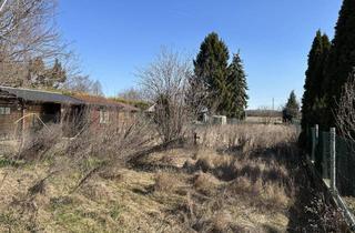 Grundstück zu kaufen in 2273 Hohenau an der March, Grundstück in Hohenau