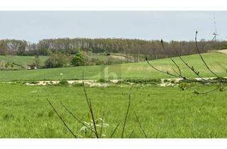 Grundstück zu kaufen in 7032 Sigleß, FÜR OUTDOOR-ENTHUSIASTEN AUSSERHALB DES SIEDLUNGSBEREICHES
