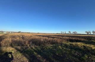 Gewerbeimmobilie kaufen in 8490 Bad Radkersburg, Ackerfläche Nähe Bad Radkersburg