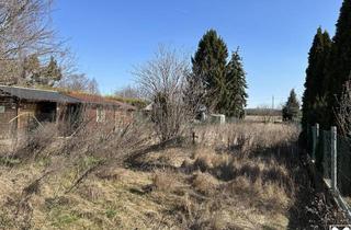 Grundstück zu kaufen in 2273 Hohenau an der March, Grundstück in Hohenau