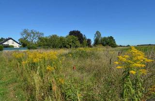 Grundstück zu kaufen in 2700 Wiener Neustadt, 1.930 m² Grundstück umgeben von Feldern