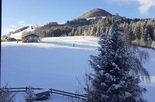 Wohnung mieten in 6365 Kirchberg in Tirol, kleines NETT möbliertes 1 Raum Apartment, TOP Lage, direkt an Skiwiese, 100mSkibus, 250m Zentrum
