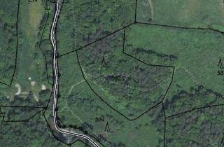 Grundstück zu kaufen in Reitling 27, 4224 Reitling, Mischwald