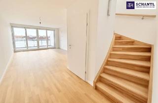 Maisonette kaufen in Beheimgasse, 1170 Wien, ERSTBEZUG! Exklusive Dachgeschoss-Maisonette mit zwei Südterrassen und spektakulärem Ausblick