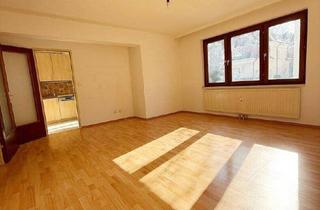 Wohnung mieten in Auhofstraße, 1130 Wien, Wiener Bestlage – 60 m² Wohnqualität – sofort beziehbar