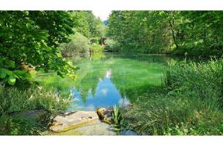 Wohnung kaufen in 3341 Ybbsitz, Zwei Zimmerwohnung, zwei Garagen und eine besondere Parklandschaft!