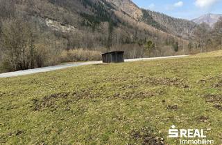 Grundstück zu kaufen in 4591 Molln, Grünland mit Einstellhütte