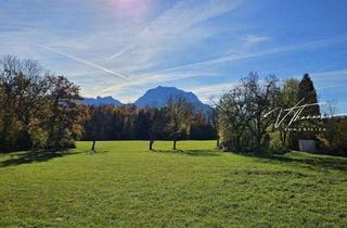 Wohnung mieten in 4694 Ohlsdorf, Mega-Mietwohnung mit Traunsteinblick.